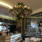 MOROKO BAR
