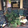 西洋家庭料理 レストラン オペラ